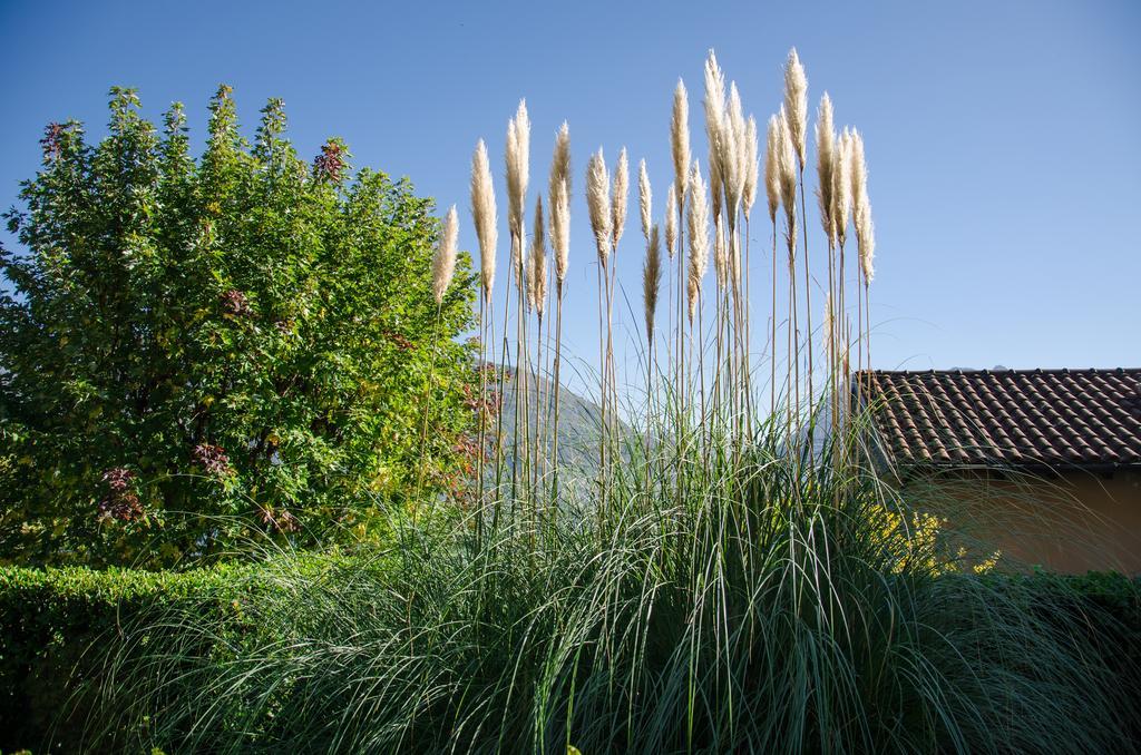 Anma Cottages Sole Lago Acquaseria 外观 照片