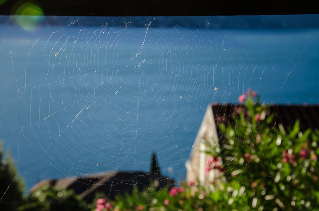 Anma Cottages Sole Lago Acquaseria 外观 照片