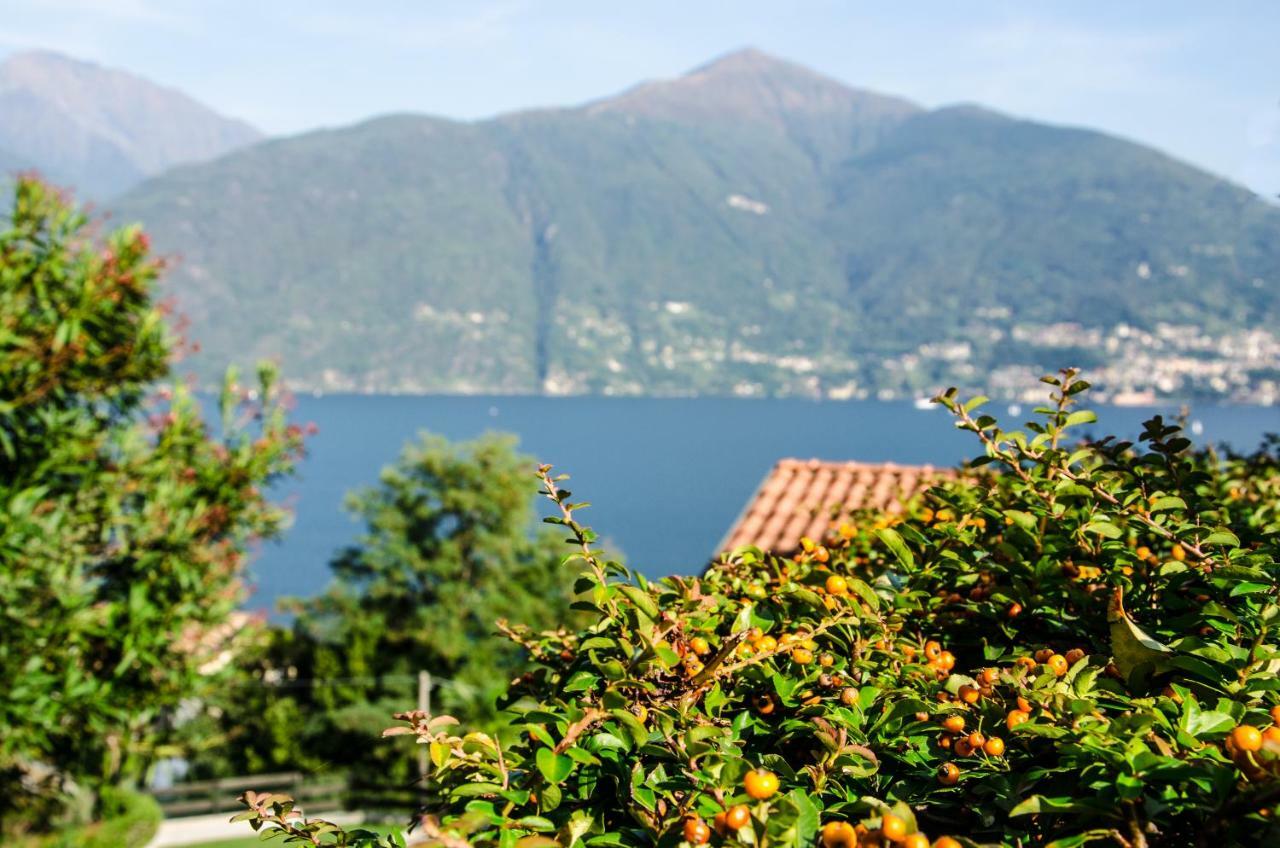 Anma Cottages Sole Lago Acquaseria 外观 照片